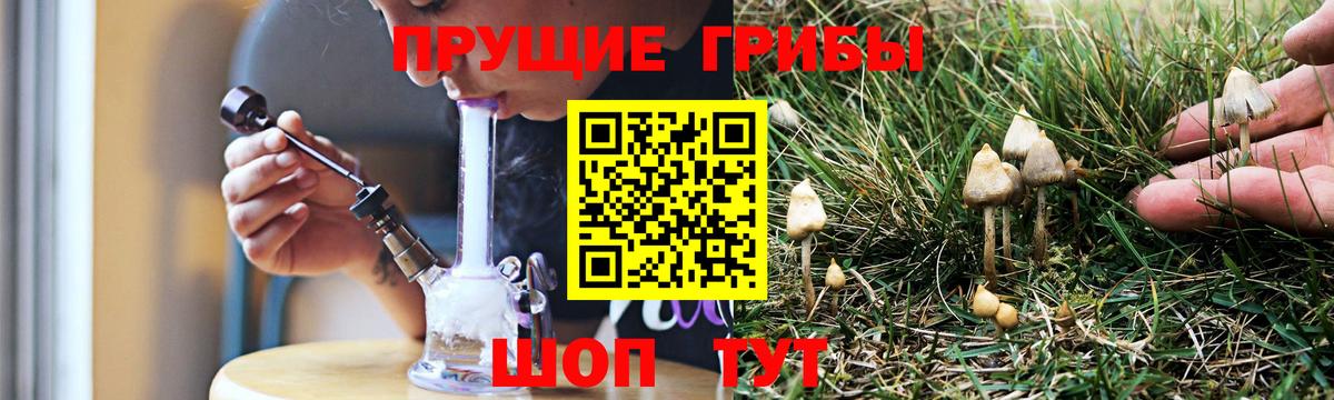 Мурманск  Галлюциногенные грибы Psilocybe  Вход с VPN  Галлюциногенные грибы MAGIC MUSHROOMS 